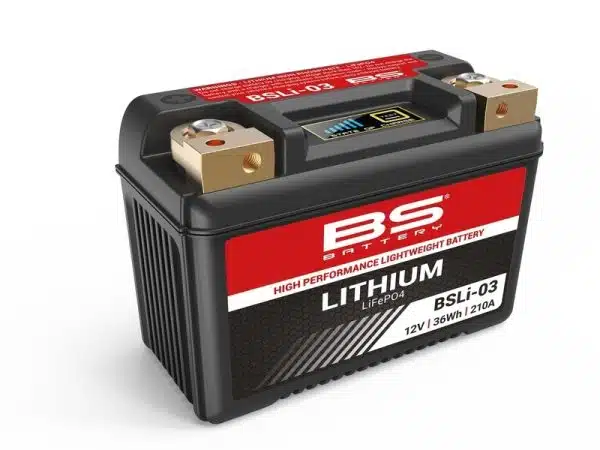 AnyConv.com__Batterie lithium BSLI-03 - 1077870